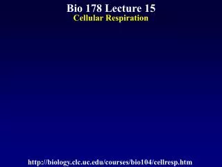 Bio 178 Lecture 15