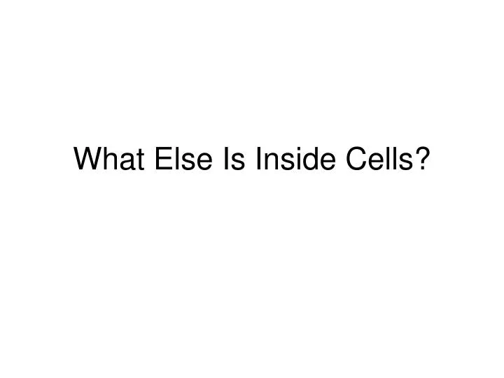 what else is inside cells