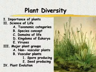 Plant Diversity