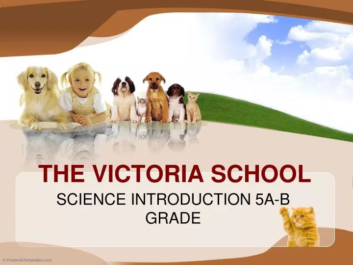 the victoria school