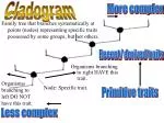 Cladogram - slide 1