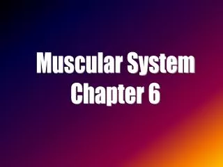 Muscular System Chapter 6