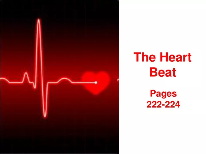 the heart beat