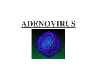 ADENOVIRUS