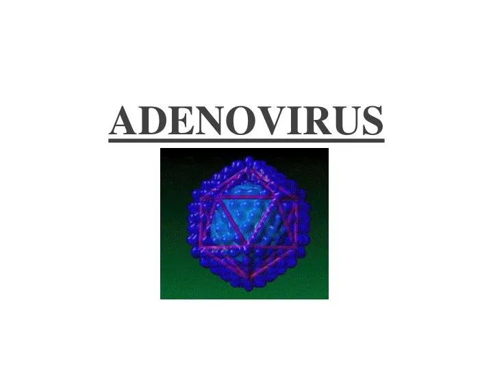 adenovirus