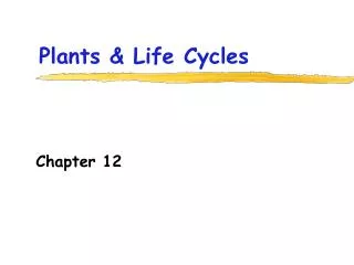 Plants &amp; Life Cycles