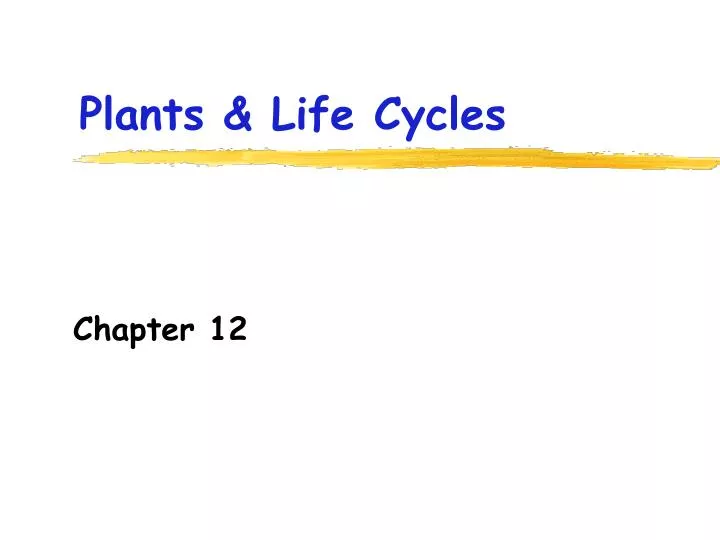 plants life cycles