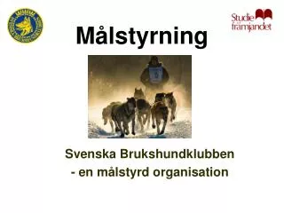 m lstyrning