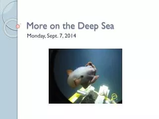 More on the Deep Sea