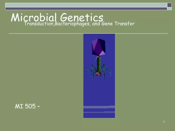 transduction bacteriophages and gene transfer