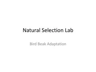 Natural Selection Lab