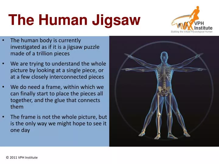 the human jigsaw