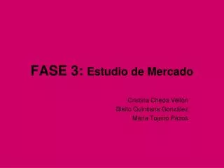 fase 3 estudio de mercado