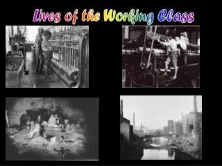 Lives of the Working Class