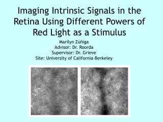 Imaging Intrinsic Signals in the Retina Using Different Powers of Red Light as a Stimulus