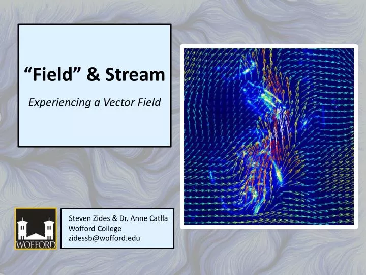 field stream experiencing a vector field
