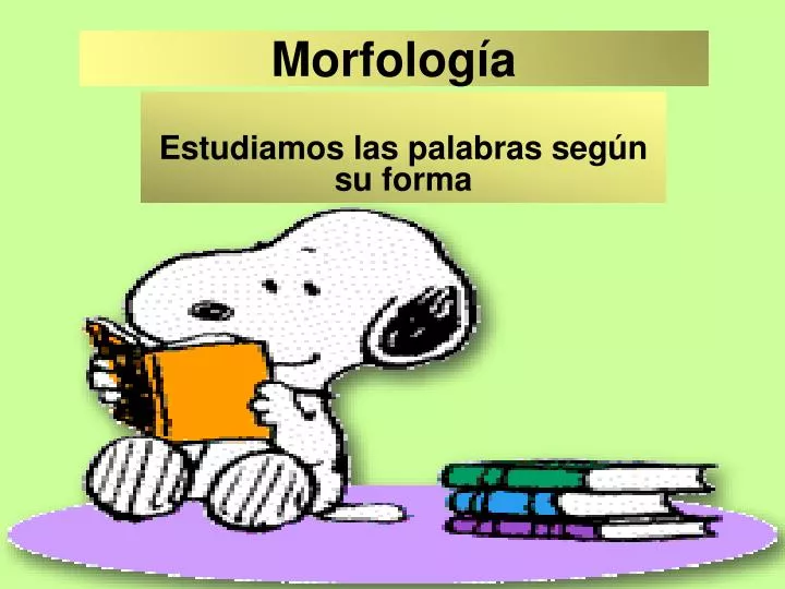 morfolog a