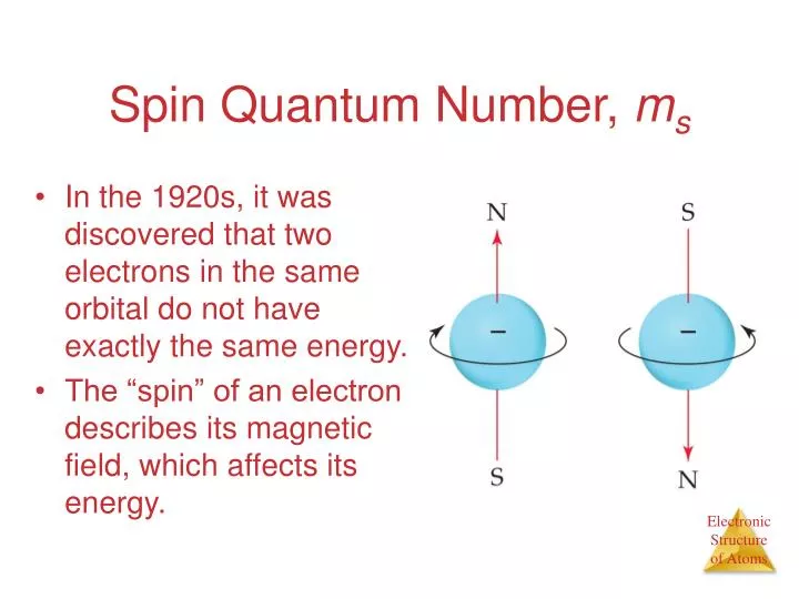 spin quantum number m s