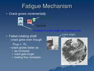 Fatigue Mechanism