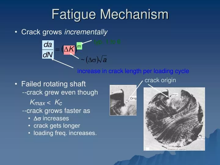 fatigue mechanism
