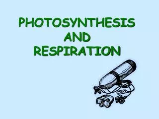 PHOTOSYNTHESISAND RESPIRATION