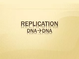 Replication DnA ?Dna