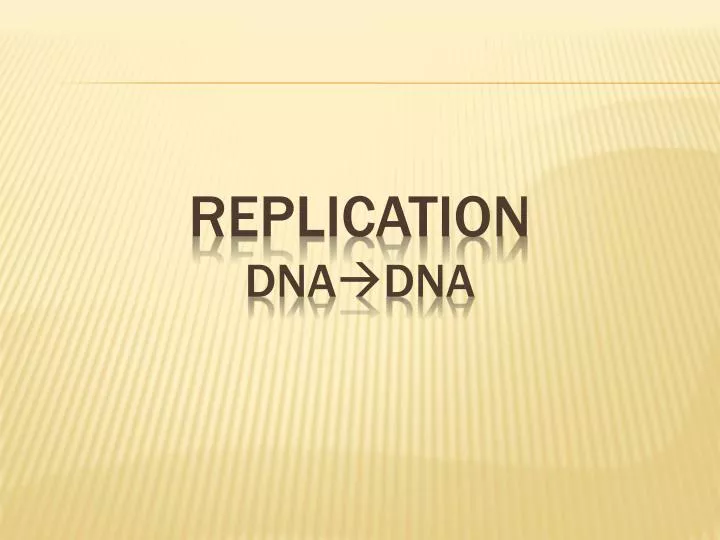 replication dna dna