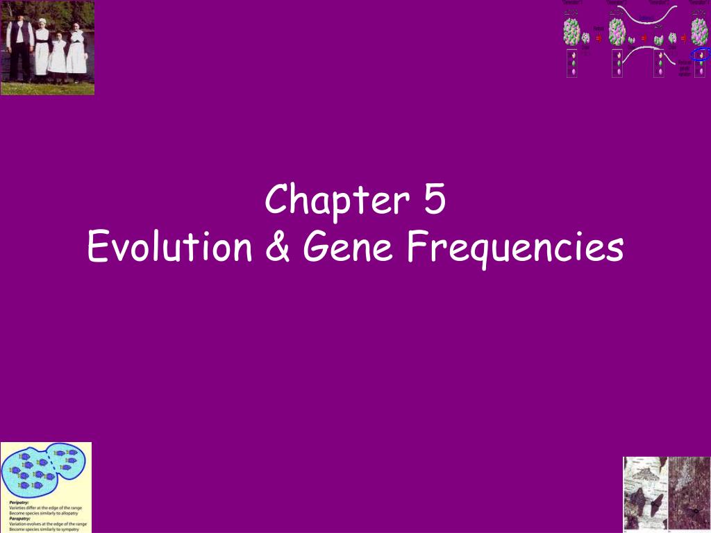 PPT - Chapter 5 Evolution & Gene Frequencies PowerPoint Presentation ...