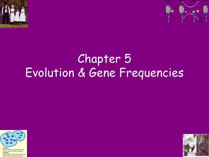 chapter 5 evolution gene frequencies
