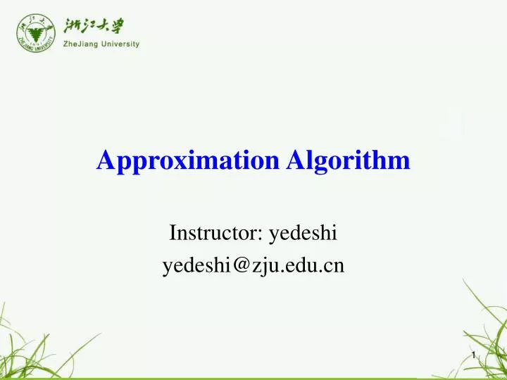 approximation algorithm