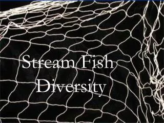 Stream Fish Diversity