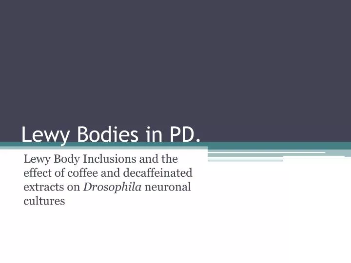 lewy bodies in pd