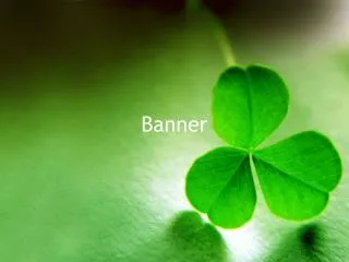 banner