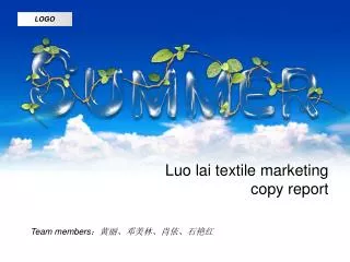 Luo lai textile marketing copy report