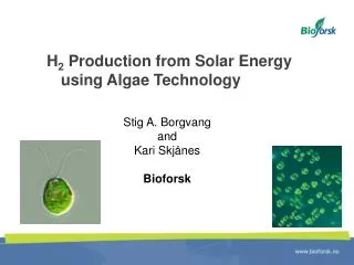 H 2 Production from Solar Energy using Algae Technology