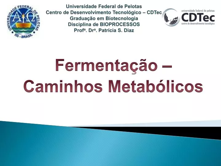 fermenta o caminhos metab licos