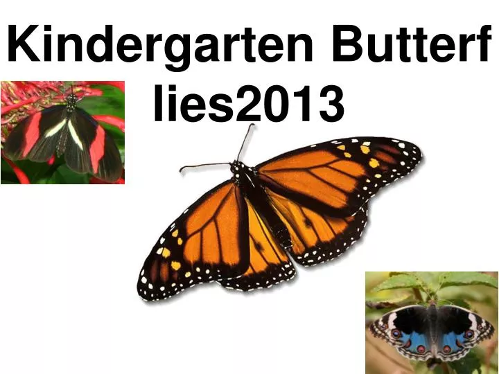 kindergarten butterflies2013