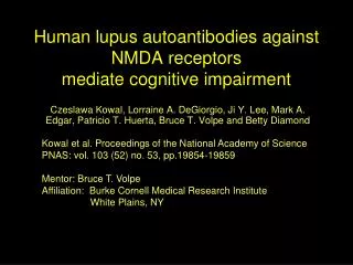 Human lupus autoantibodies against NMDA receptors mediate cognitive impairment