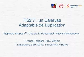 rs2 7 un canevas adaptable de duplication