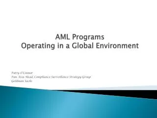 AML Programs Operating in a Global Environment