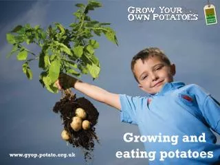 Growing and eating potatoes