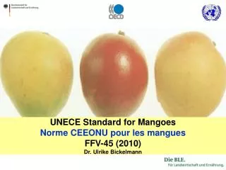 UNECE Standard for Mangoes Norme CEEONU pour les mangues FFV-45 (2010) Dr. Ulrike Bickelmann