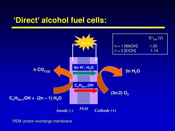 direct alcohol fuel cells