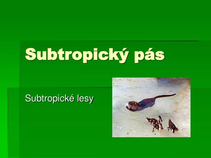 subtropick p s
