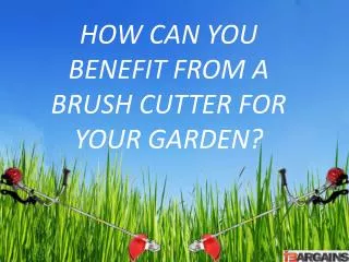 Before Using a Brush Cutter You Need to Know Some Safety Tip