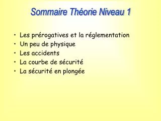 sommaire th orie niveau 1
