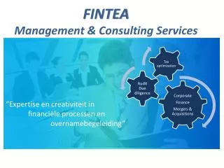 fintea management consulting services