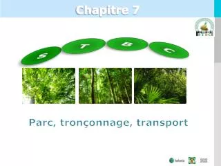 chapitre 7