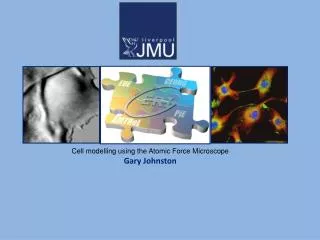 Cell modelling using the Atomic Force Microscope Gary Johnston