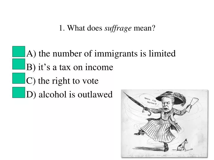 1 what does suffrage mean